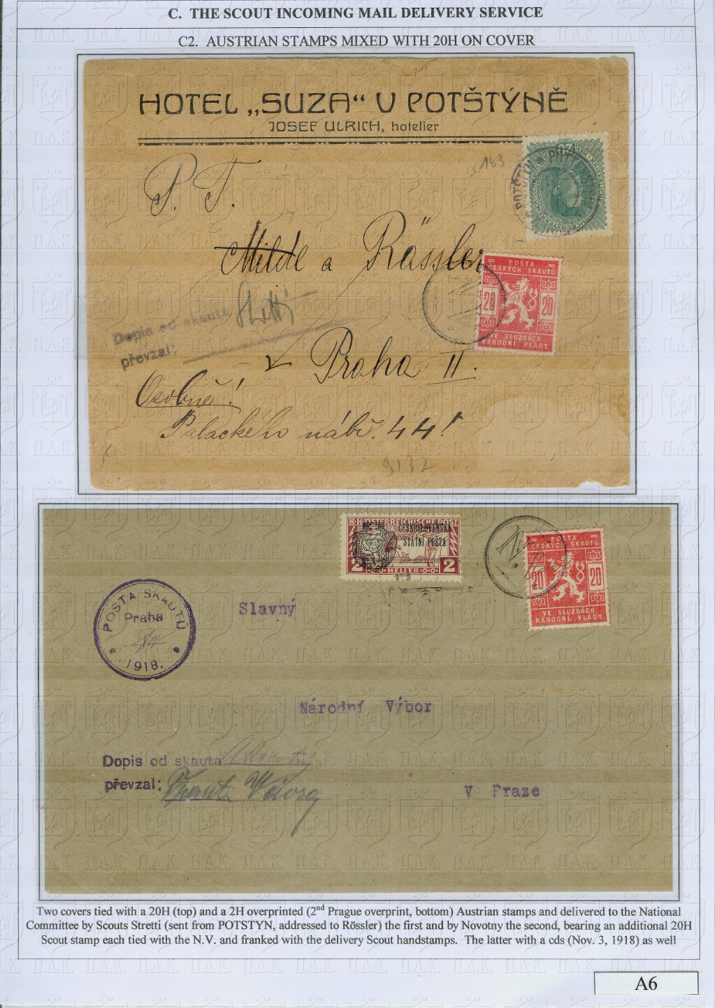 Page 6