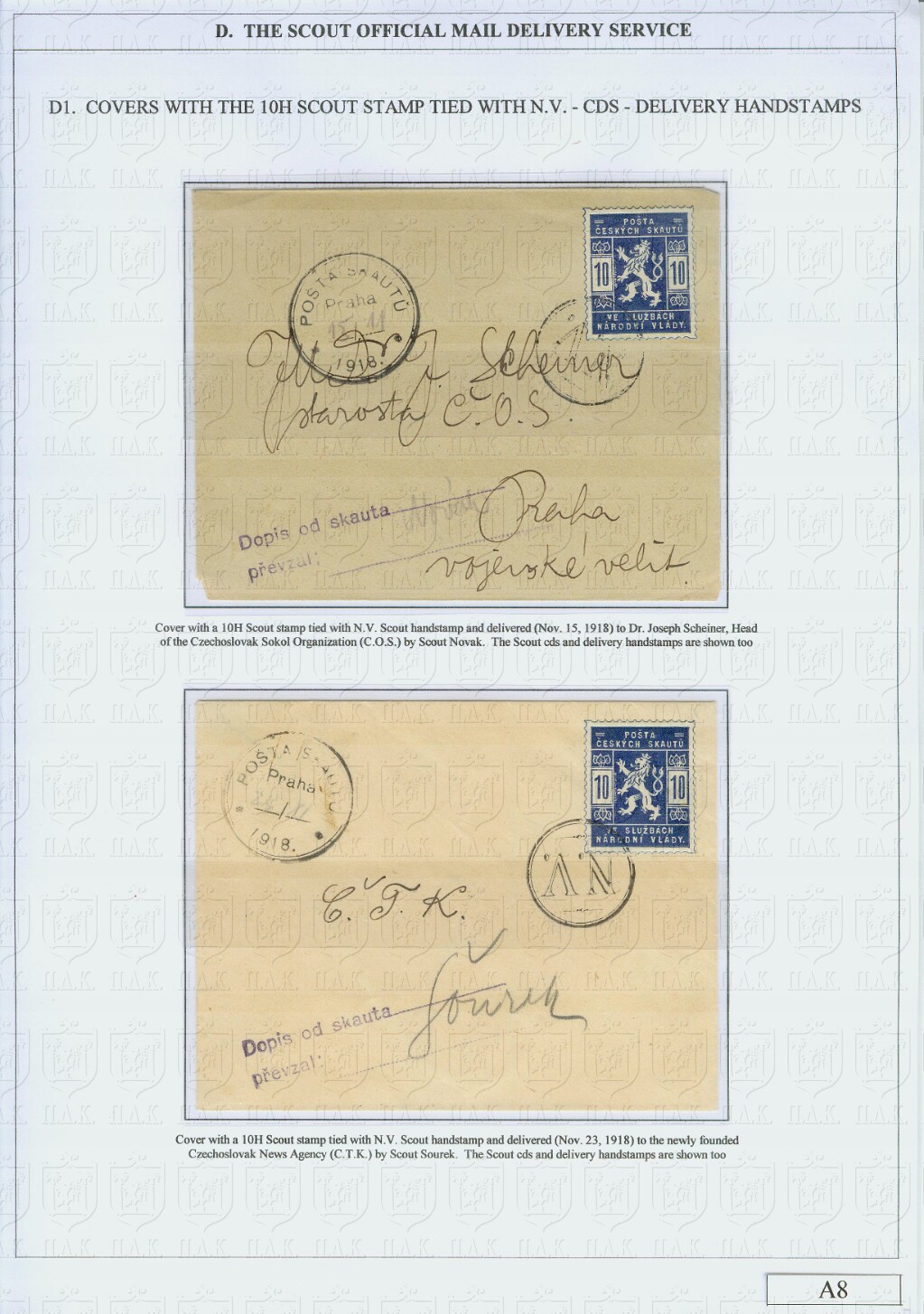 Page 8